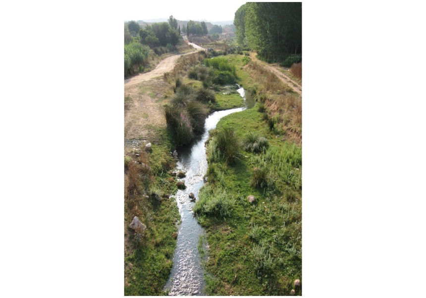 imatge de la noticia